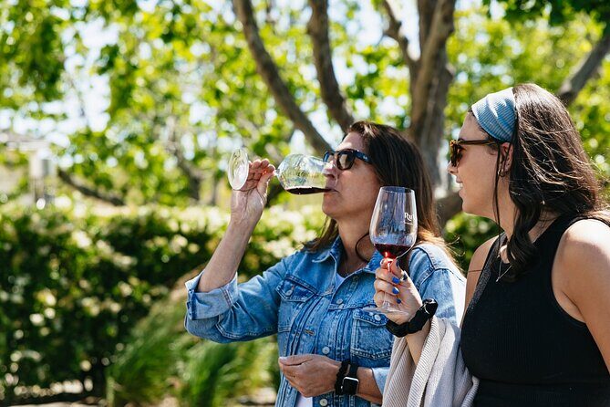 Napa Valley Wine and Food Tasting Tour from San Francisco - Authentic Experiences and Traveler Feedback