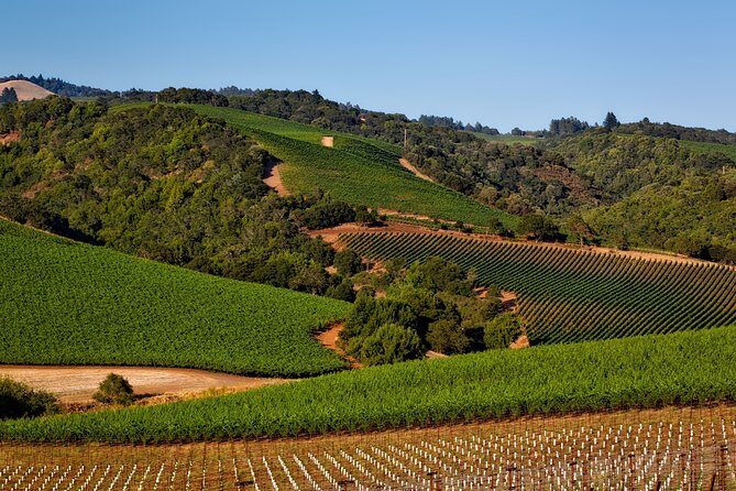 Napa Valley Wine Tasting Tour 6 to 8 Hours max 14 passenger - Pricing and Value