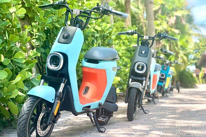 Naples Electric Moped Tour - What the Reviews Say