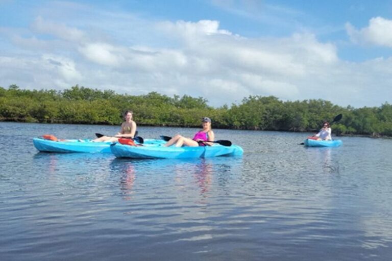 Naples, FL: Guided Standup Paddleboard or Kayak Tour - Evaluating the Cost and Overall Value