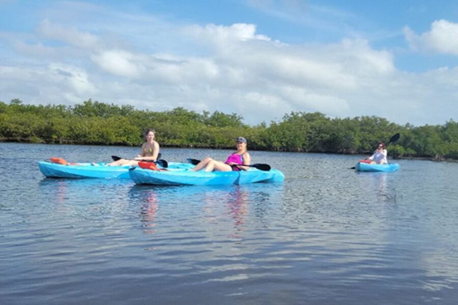 Naples, FL: Guided Standup Paddleboard or Kayak Tour - Evaluating the Cost and Overall Value