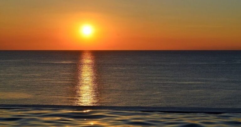 Naples, FL: Manatee, Dolphin, 10,000 Islands Sunset Cruise - The highlight: the sunset over the Gulf of Mexico