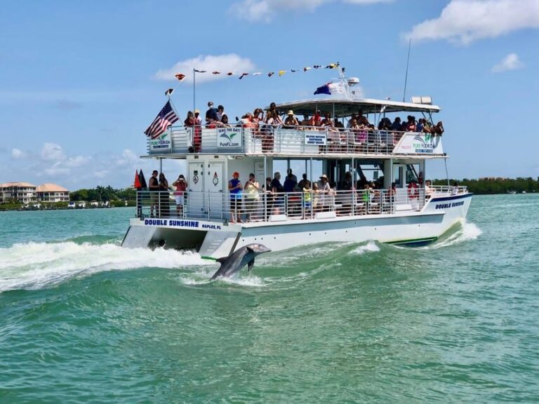Naples: Sightseeing Day Cruise on the Gulf of Mexico - Practical Tips for Your Cruise