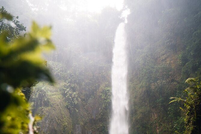 Napuru Waterfalls - Insights from Guest Reviews
