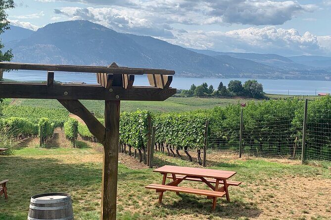 Naramata Full Day Lunch Wine Tour- Incl. Tasting Fees & Gratuity! - What Makes This Tour Stand Out