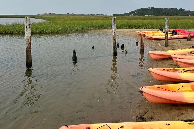 National Seashore Tour with Guided Hike - What Travelers Say