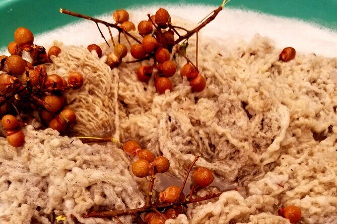 Natural Dyeing and Organic Weaving Workshop in Oaxaca - Authenticity and Reviews: What Visitors Say