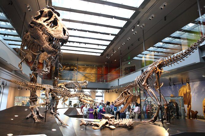 Natural History Museum of Los Angeles County Admission - Who Will Love the Museum?
