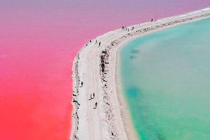 Natural Pink Lake Tour Las Coloradas only from Playa del Carmen - How the Experience Plays Out in Real Life
