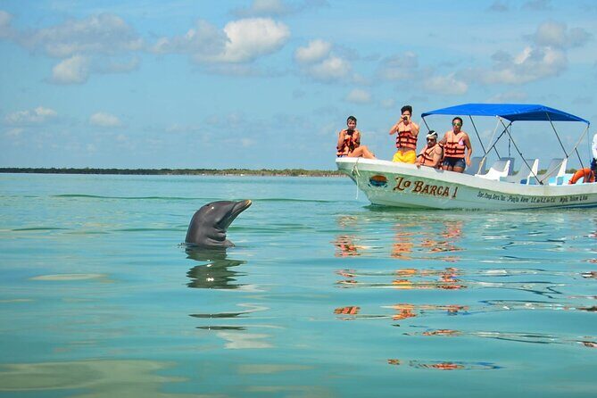 Natural Reserve of Sian Ka'an Tour ! - Practical Tips for Your Day in Sian Kaan