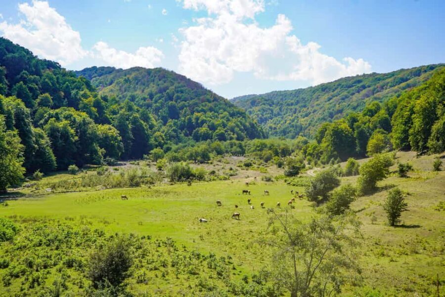 Natural Treasures of Northern Azerbaijan in 5 Days - A Deep Dive into the Itinerary