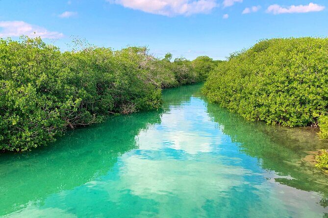 Nature Day, Sian Kaan Biosphere Tour! Round Transportation from Tulum City - Pricing and Value
