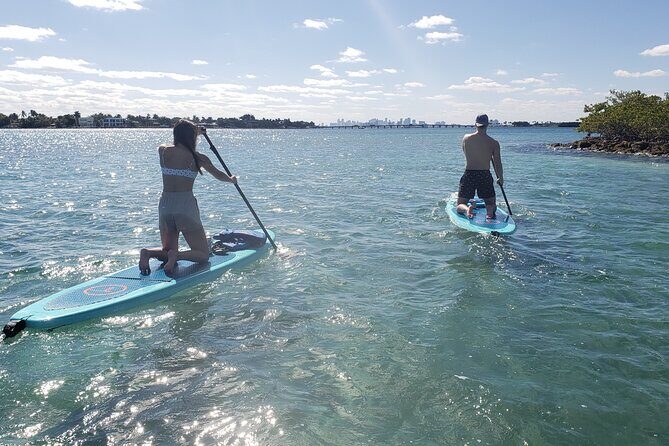 Nature & Island Exploration on SUP/Kayak - What’s Noteworthy From Reviews