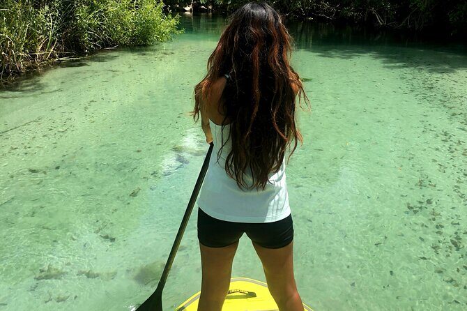 Nature Stand Up Paddle Boarding Experience in Miami - Why We Love This Experience