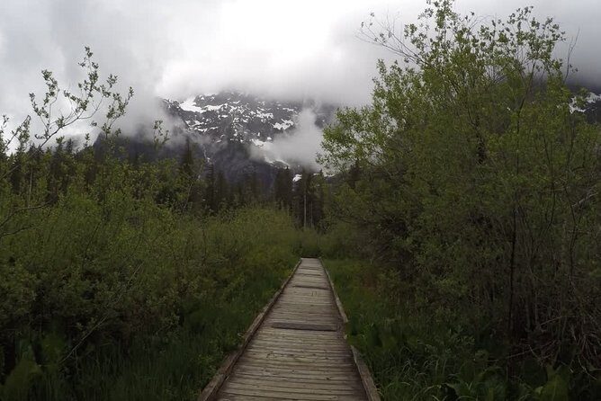 Nature Tour/Hike - The Value of This Tour
