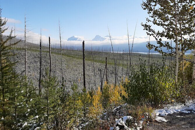 Nature Walk in Glacier National Park - The Starting Point: West Glacier in Focus
