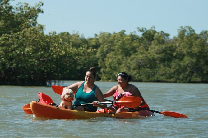 Nauti Exposures - Guided kayak tour through the Mangroves - Who Will Love This Tour?