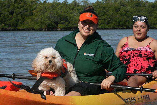 Nauti Exposures - Kayak rental Naples, FL - The Sum Up