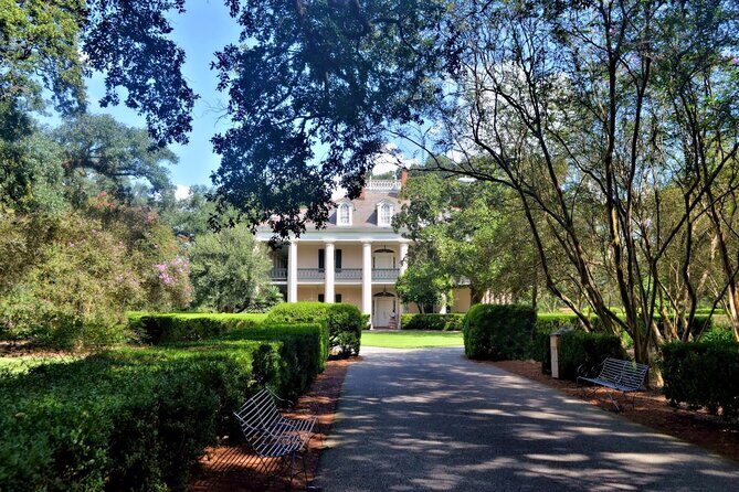 Nawlins Luxury: Laura, Oak Alley or Whitney Plantation Tour w/Transportation - Oak Alley Plantation — A Romantic Cornerstone