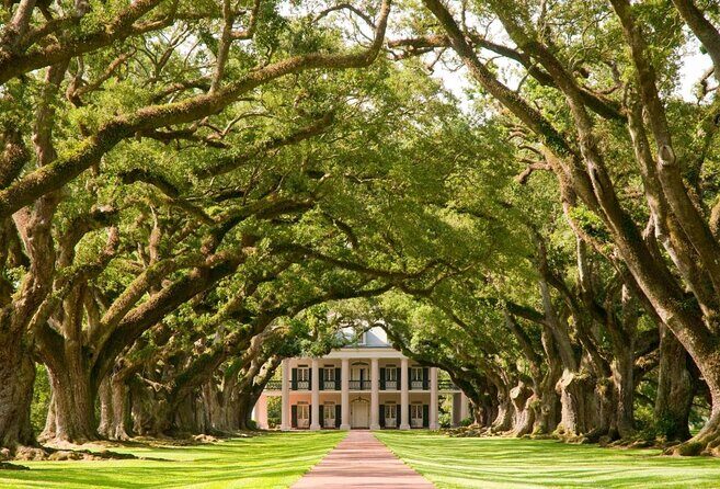 Nawlins Luxury: Oak Alley Plantation & Pontoon Swamp Tour w/Transportation - Key Points