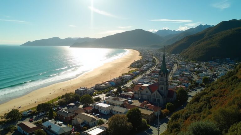 nelson new zealand activities