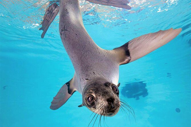 New England Aquarium Admission Ticket in Boston - Exploring the Exhibits in Depth
