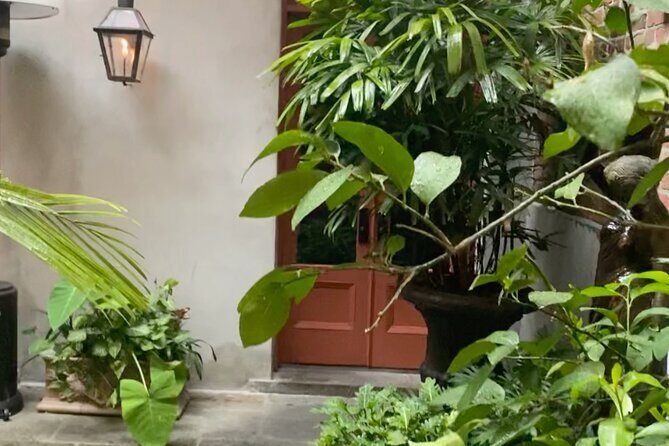 New Orleans Courtyard Cocktails: Happy Hour Mixology Class - Who Will Love This Tour?