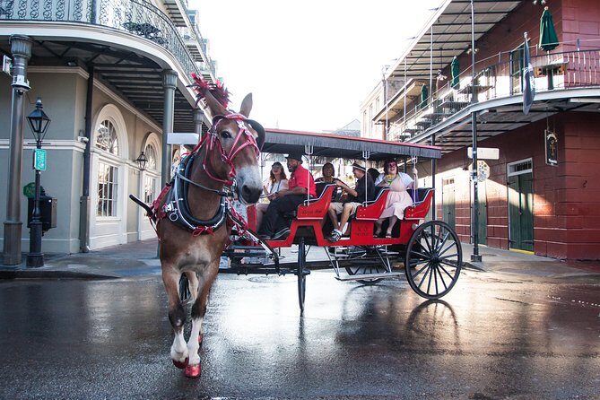 New Orleans French Quarter and More Carriage Ride - The Highlights of the Tour