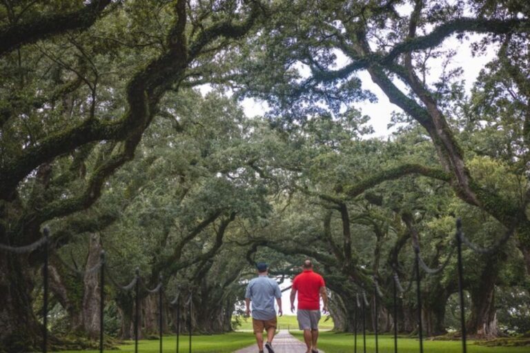 New Orleans Garden District Tour - The Value Proposition: Is It Worth It?