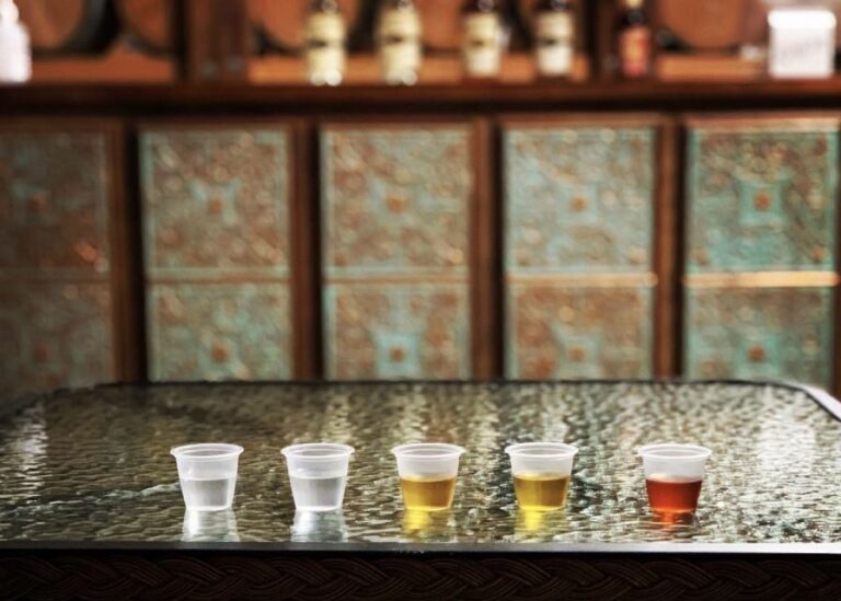 New Orleans: Guided Rum Distillery Tour and Tasting - The Itinerary and Experience in Detail