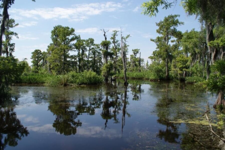 New Orleans: High Speed 16 Passenger Airboat Ride - What to Expect in the Itinerary