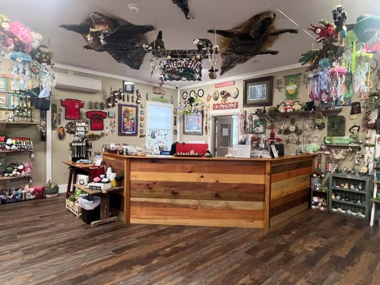 New Orleans Manchac Bayou Swamp Cruise W/ Optional Pick-Up - Who Should Consider This Tour?