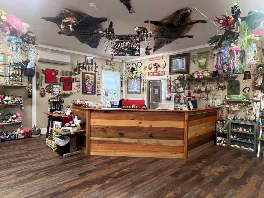 New Orleans Manchac Bayou Swamp Cruise W/ Optional Pick-Up - Who Should Consider This Tour?