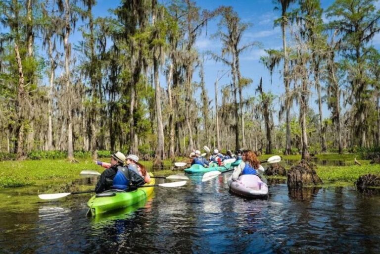 New Orleans: Manchac Magic Kayak Swamp Tour - The Value of the Tour