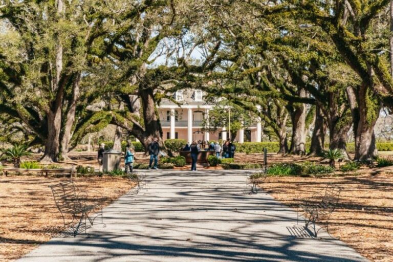New Orleans: Oak Alley Plantation & Airboat Swamp Combo Tour - What Makes This Tour Stand Out