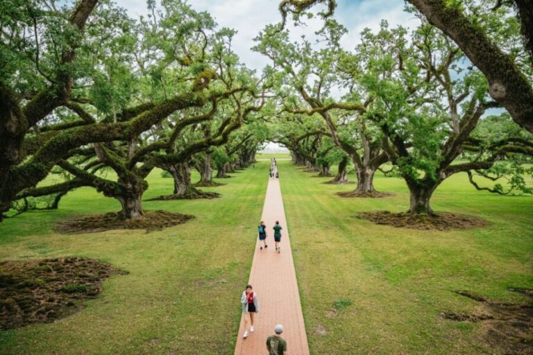 New Orleans: Oak Alley Plantation and Swamp Cruise Day Trip - What’s Included and What’s Not