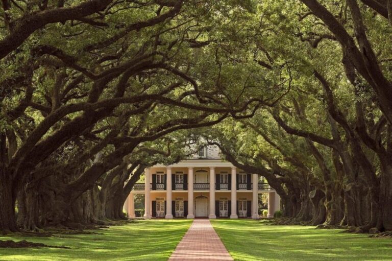 New Orleans: Oak Alley Plantation Half Day Tour - Transportation and Group Size