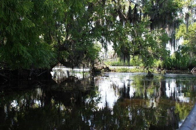New Orleans Small-Group Airboat Swamp Tour - Who Should Consider This Tour?