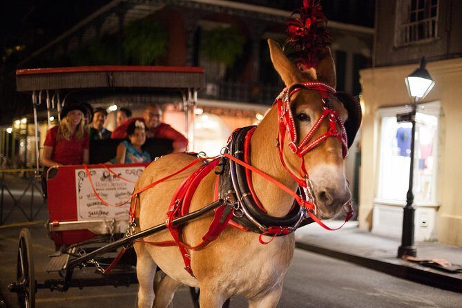 New Orleans Small-Group Haunted History Carriage Tour - Who Should Book This Tour?