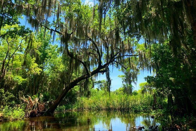 New Orleans Swamp Tour Boat Adventure with Transportation - Who Should Consider This Tour?