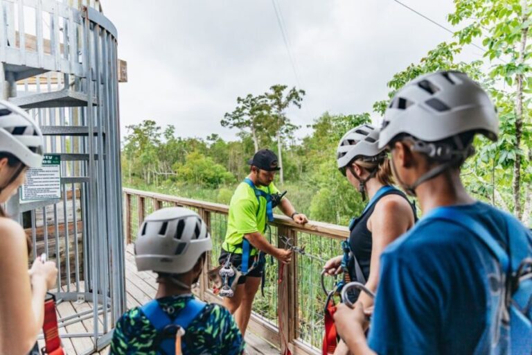 New Orleans: Swamp Zipline Tour - Wildlife and Nature from the Treetops