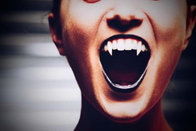 New Orleans: Vampires, Voodoo, and Ghosts Tour - Why You Might Love or Not Love This Tour