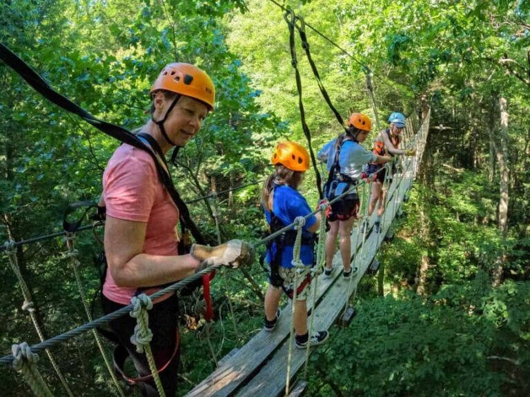 New River Gorge: TimberTrek Adventure Park Entry Ticket - What Makes TimberTrek Adventure Park Stand Out?