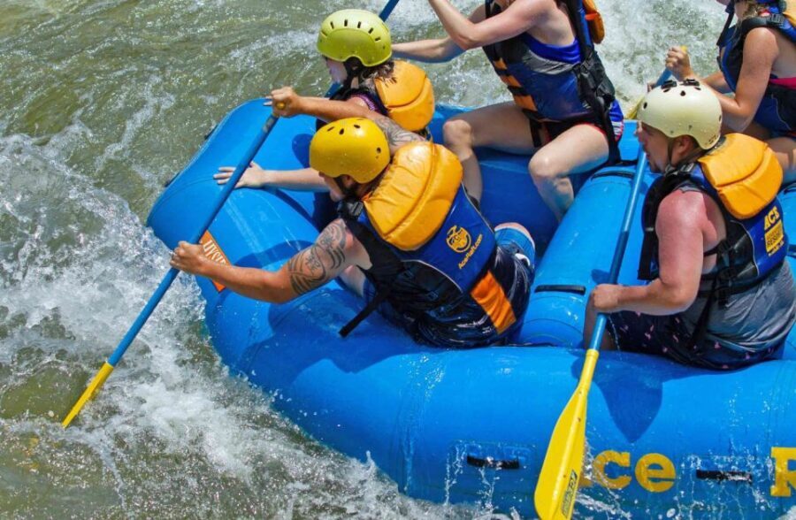 New River Gorge Whitewater Rafting - Lower New Half Day