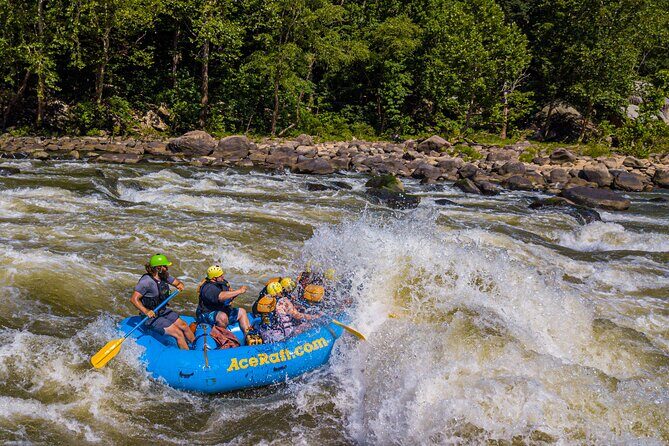 New River Gorge Whitewater Rafting, WV - Lower New Full Day - Exploring the Experience: What to Expect
