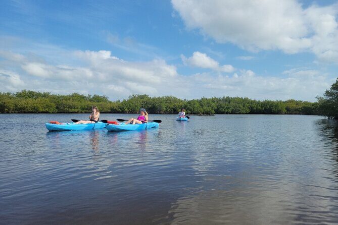 New Smyrna Dolphin and Manatee Kayak and SUP Adventure Tour