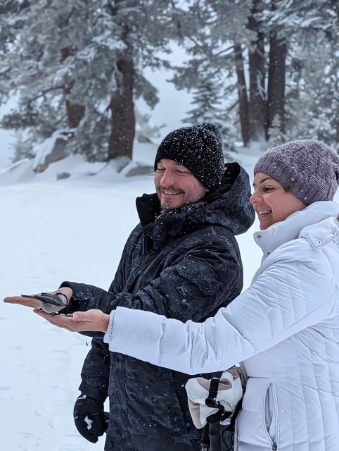 New Washoe City: Chickadee Ridge Beginner Snowshoeing Hike - Detailed Breakdown of the Tour Experience
