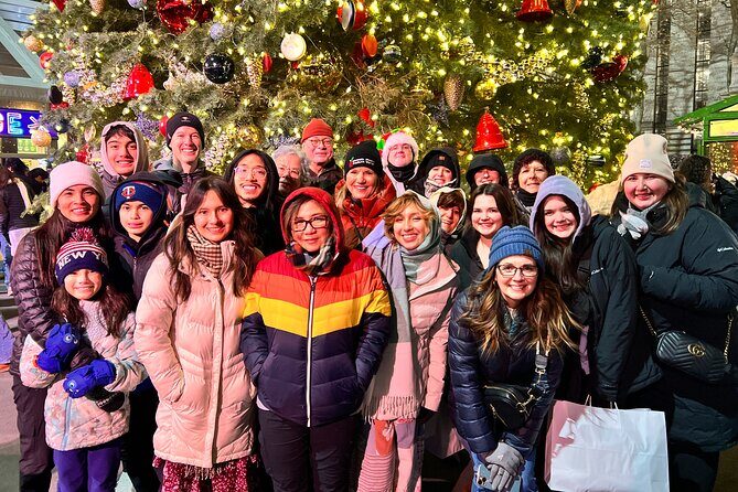 New York Christmas Holiday Lights Walking Tour - Group Size and Accessibility