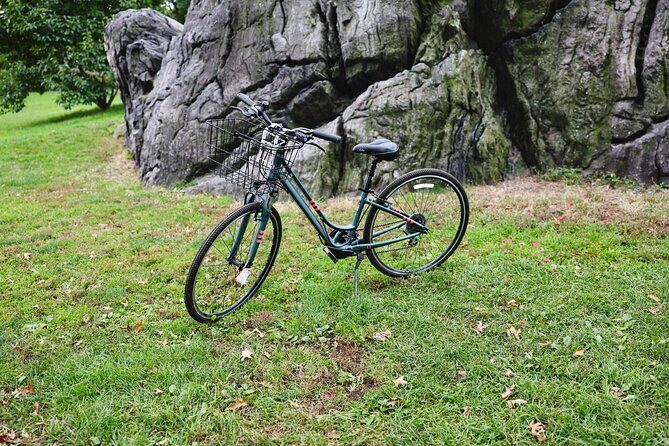 New York City Central Park Bicycle Rental - The Sum Up: Is It Worth It?