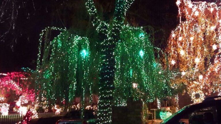 New York City: Dyker Heights Christmas Lights Tour - The Experience: The Good, the Slightly Rushed, and the Special